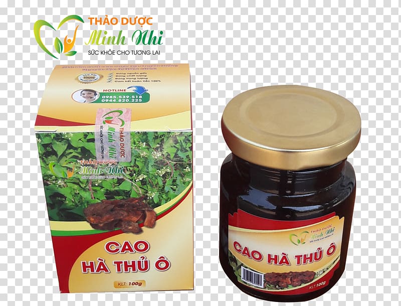 Tóc Vietnam Polyscias fruticosa Man Food, cao lau transparent background PNG clipart