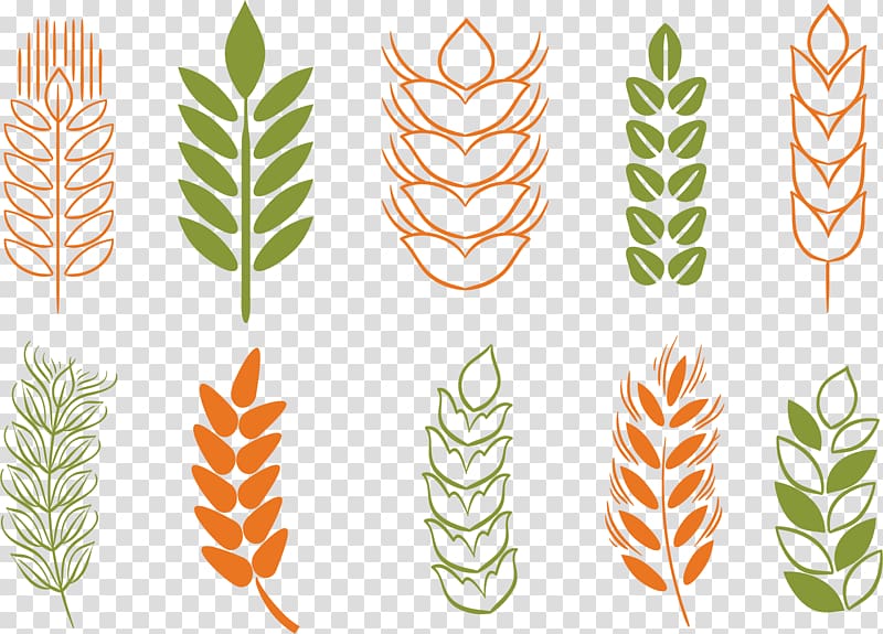 assorted-color leaves illustration, Wheat Cereal Rice, Rice ear Icon transparent background PNG clipart