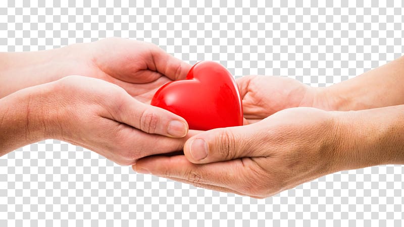 Organ donation Organ transplantation Blood donation, heart transparent background PNG clipart
