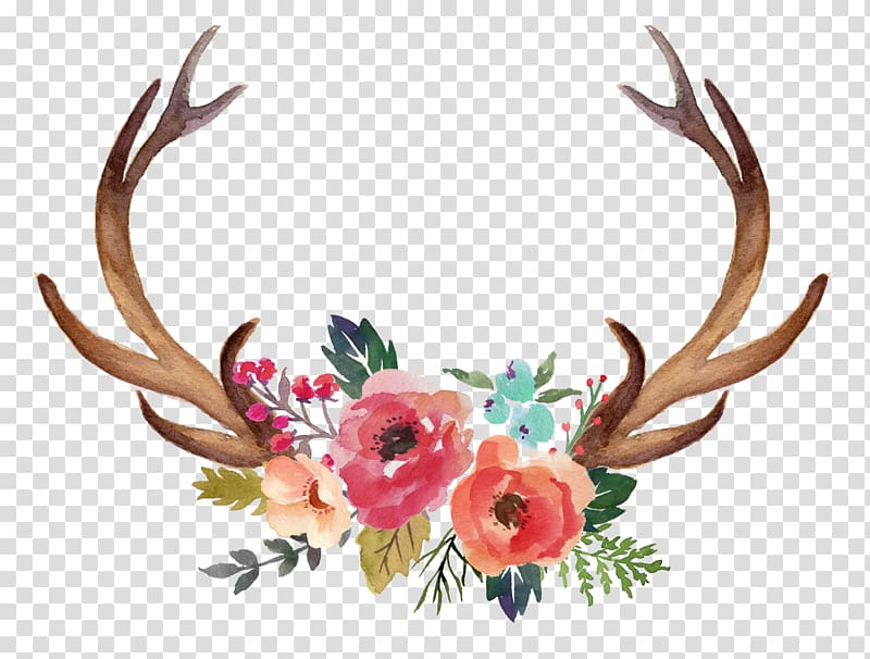 horn flowers transparent background PNG clipart