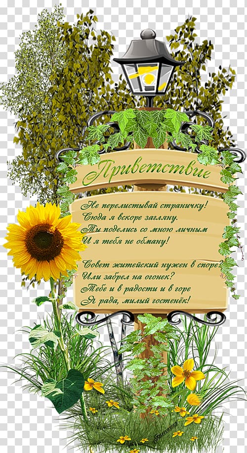 Greeting Verse Parable Floral design Song, Ligustrum transparent background PNG clipart