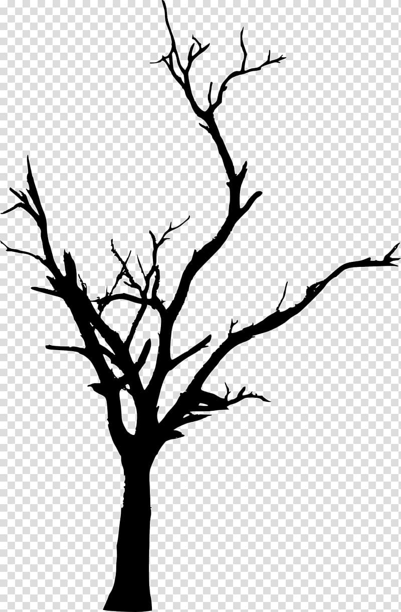Tree Woody plant Branch Twig , dead tree transparent background PNG clipart
