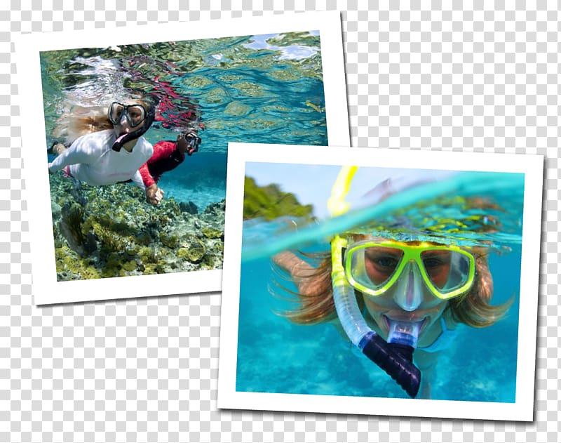 Underwater diving Scuba diving Snorkeling Free-diving, others transparent background PNG clipart