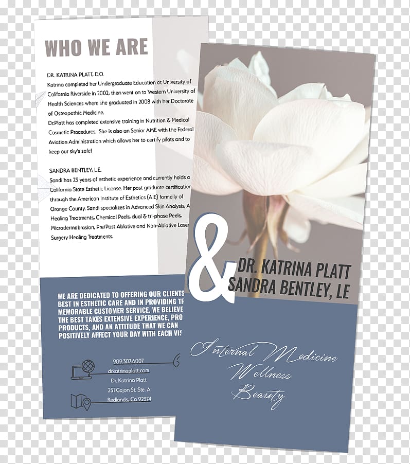 Brochure, brochure design edition trial transparent background PNG clipart