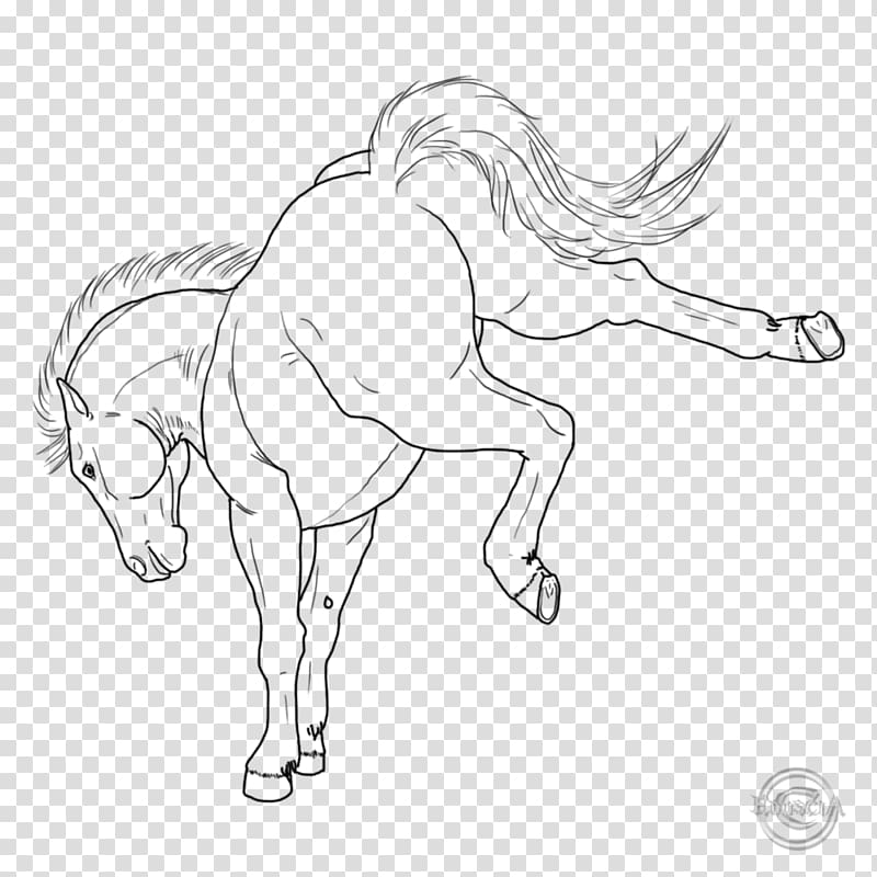 Arabian horse Fjord horse Stallion Foal Mare, others transparent background PNG clipart