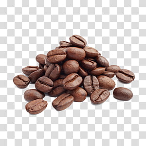 https://p7.hiclipart.com/preview/75/914/339/arabica-coffee-cafe-coffee-bean-coffee-roasting-coffee-thumbnail.jpg