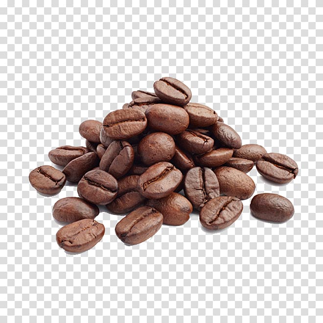 Arabica coffee Cafe Coffee bean Coffee roasting, Coffee transparent background PNG clipart