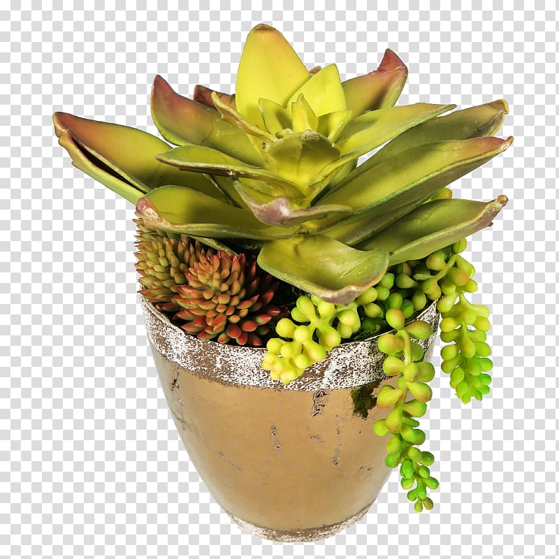 Flowerpot Houseplant Floral design Howea forsteriana, flower transparent background PNG clipart