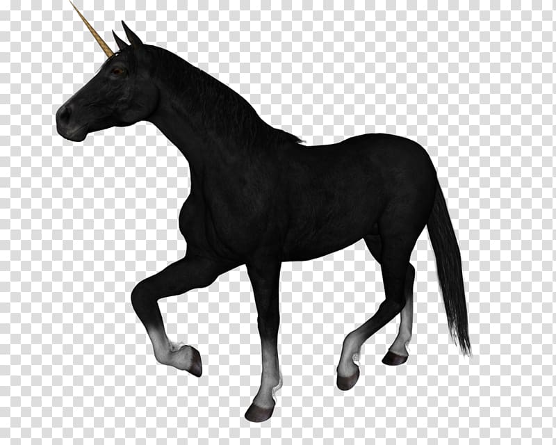 Arabian horse Rocky Mountain Horse Black Roan Unicorn, Unicorn background transparent background PNG clipart