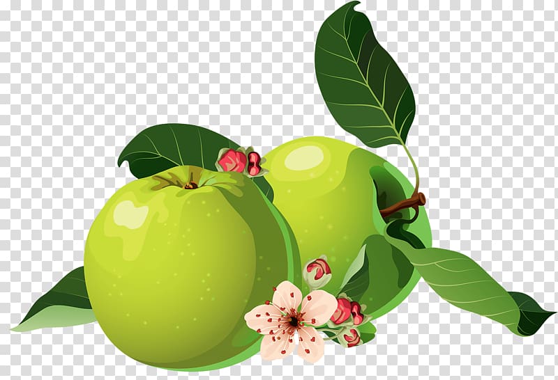 Apple , Two green apples transparent background PNG clipart