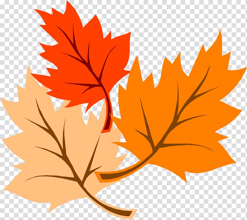 three red, orange, and yellow leaves, Thanksgiving Leaves transparent background PNG clipart