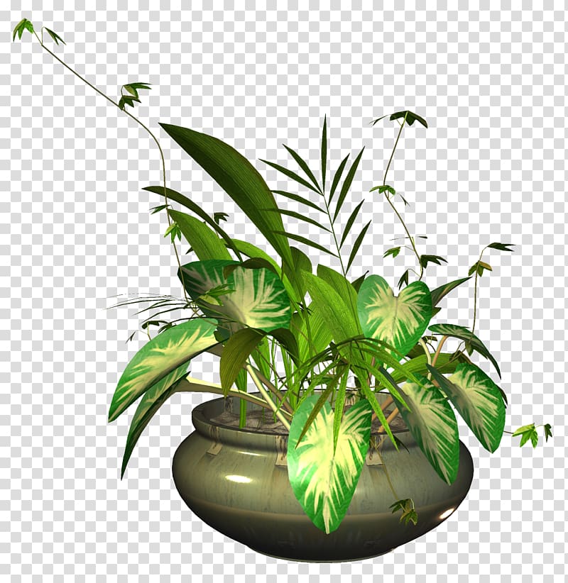 Flower u042fu043du0434u0435u043au0441.u0424u043eu0442u043au0438 Yandex , plant transparent background PNG clipart