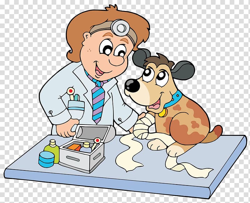Puppy Dog Horse Veterinarian , Dress up the dog transparent background PNG clipart
