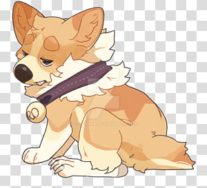 Cat Dog Mammal , Cat transparent background PNG clipart thumbnail