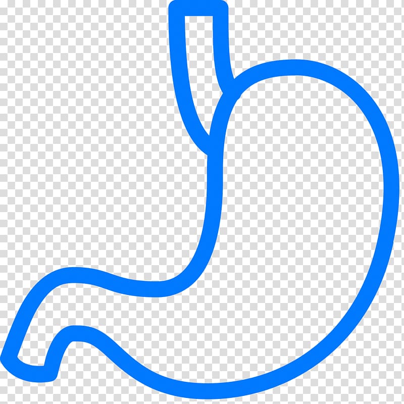 Stomach Digestion Abdomen Small intestine, michigan transparent background PNG clipart