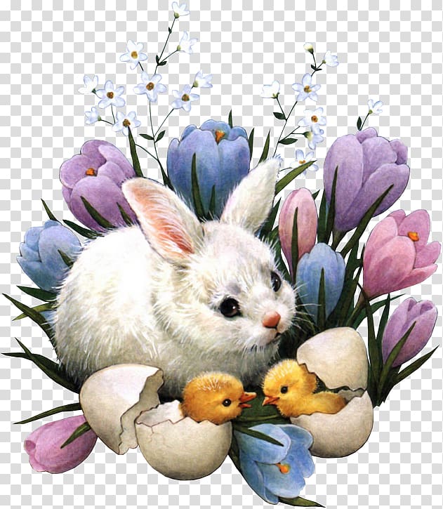 Easter Bunny Happy Easter! Easter egg Christmas, Easter transparent background PNG clipart