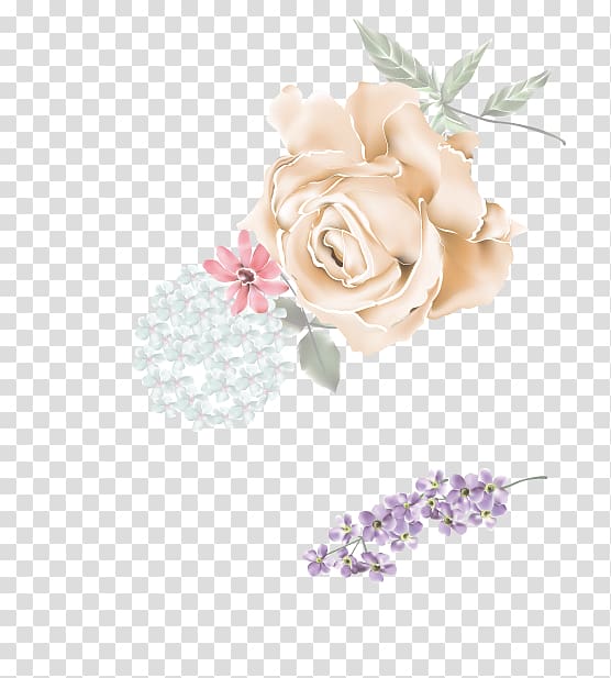 Garden roses Cut flowers Kisah 12 Isteri Para Rasul Floral design, Chou Chou transparent background PNG clipart