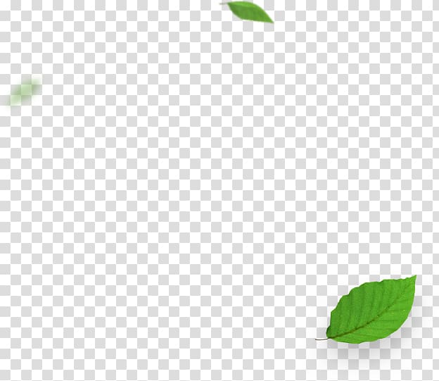 Green Desktop Leaf, cash prize transparent background PNG clipart