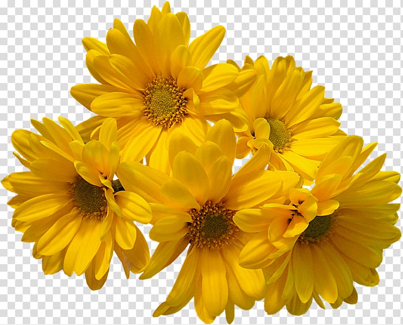 file formats , Yellow Flowers Bouquet transparent background PNG clipart