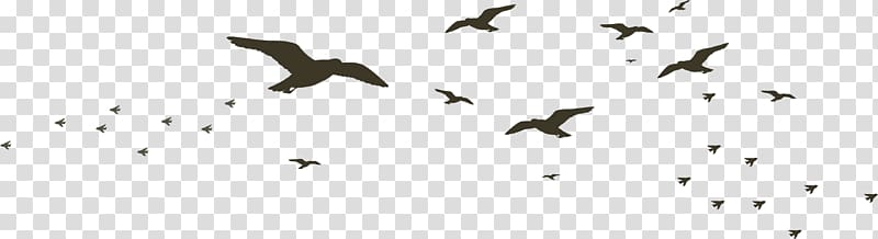 Beak Black and white Technology Pattern, Rows of wild geese transparent background PNG clipart