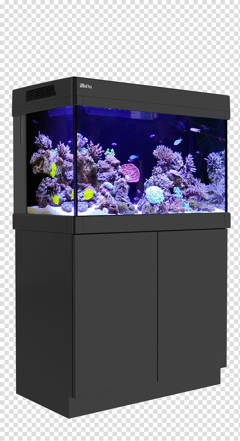 Aquariums Coral reef Reef aquarium, coral reef transparent background PNG clipart