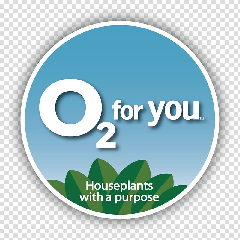 Houseplant Indoor air quality Air pollution Yucca, energy efficiency transparent background PNG clipart
