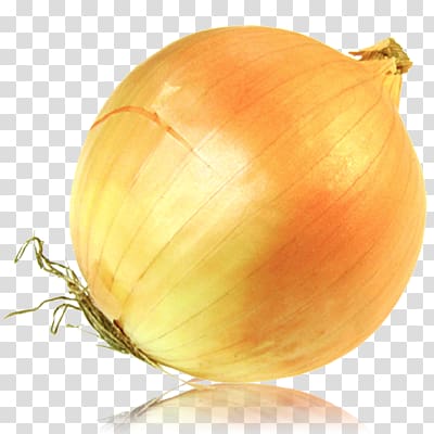 Onion , onion transparent background PNG clipart