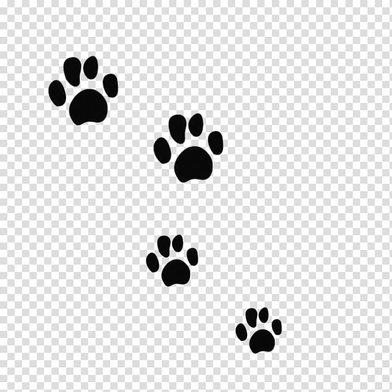 Free download | Cat Dog Tiger Bear Felidae, Black Bear Paw prints ...