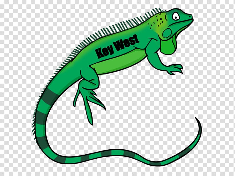 Lizard Green iguana Reptile Open, lizard transparent background PNG clipart