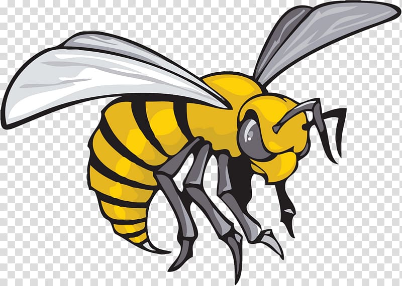 Alabama State University Alabama State Hornets men\'s basketball Alabama State Hornets football Alabama State Hornets women\'s basketball Grambling State University, wasp transparent background PNG clipart