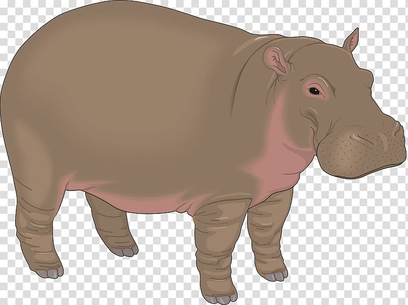 Hippopotamus Baby Hippos Free content , Hippo material transparent background PNG clipart