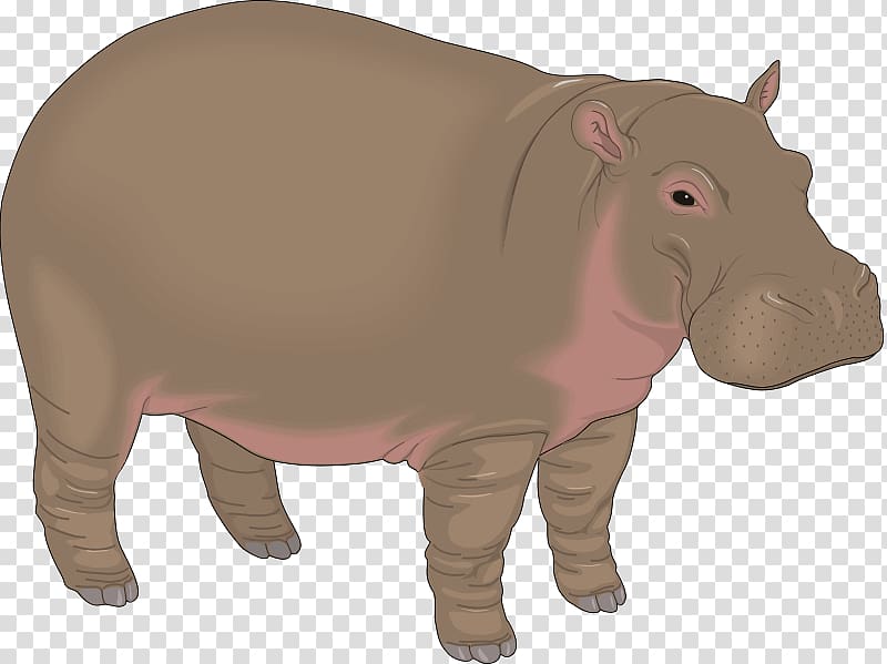 animated hippo clipart free