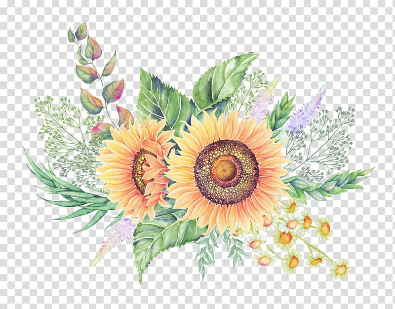 hand-painted watercolor flower illustration transparent background PNG clipart