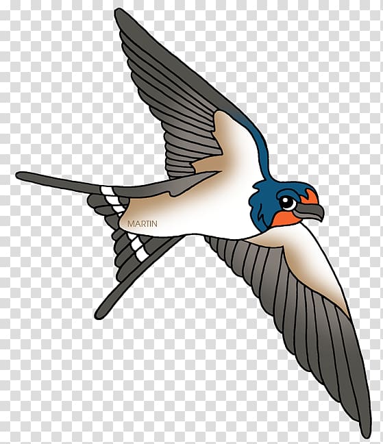 Barn swallow Bird , Swallow transparent background PNG clipart