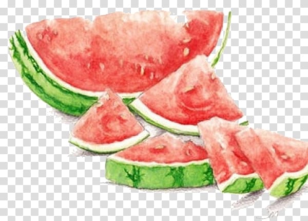 Watermelon Watercolor painting Drawing Seedless fruit, Hand Painted,Beautiful,Small fresh,watermelon,fruit transparent background PNG clipart