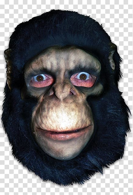 Common chimpanzee Gorilla Mask Monkey Primate, apes and monkeys transparent background PNG clipart