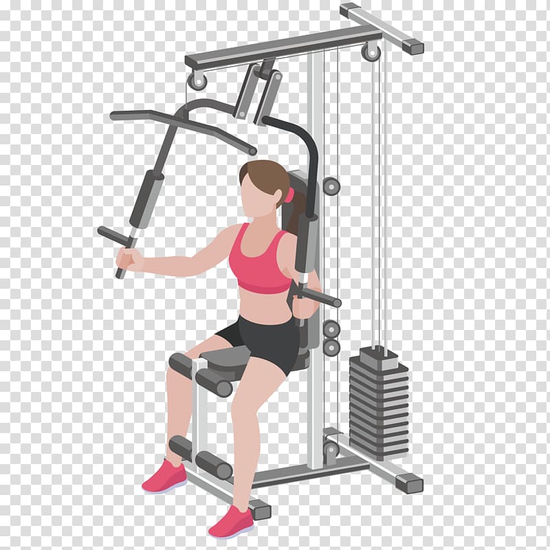 Woman exercising holding dumbbells, Fitness Centre Physical fitness  Personal trainer Weight loss Weight training, gym transparent background PNG  clipart