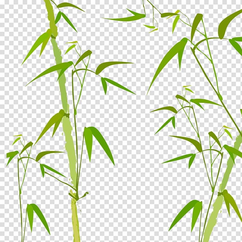 Bamboo Watercolor painting Poster, Green bamboo transparent background PNG clipart