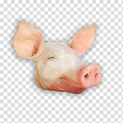 Domestic pig Head cheese Pork Spare ribs, pig transparent background PNG clipart