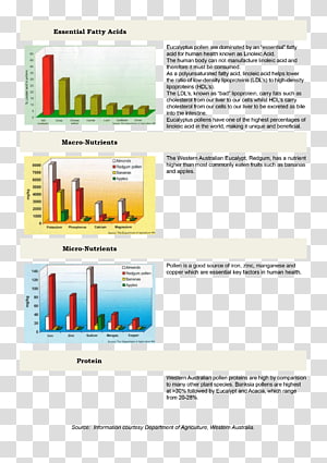 Web page Brand, design transparent background PNG clipart thumbnail