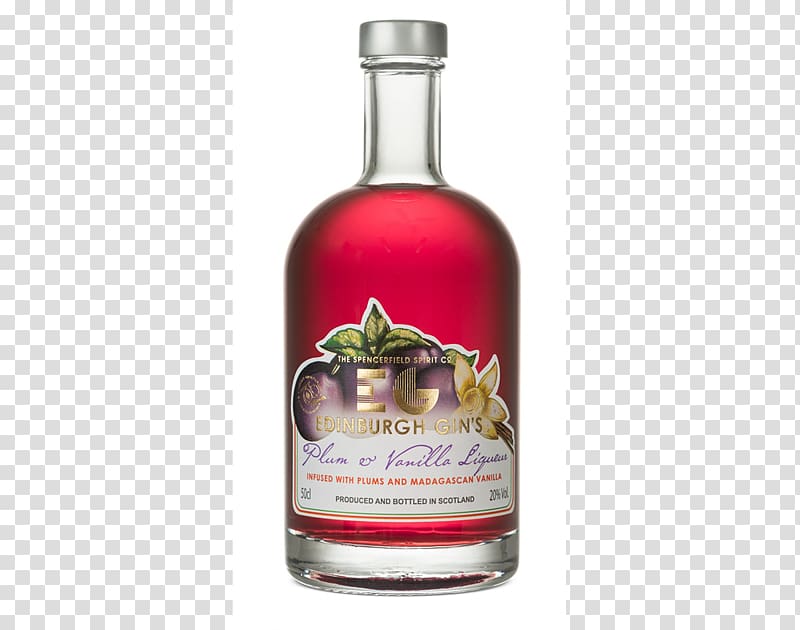 Gin and tonic Distilled beverage Elderflower cordial Liqueur, wine transparent background PNG clipart