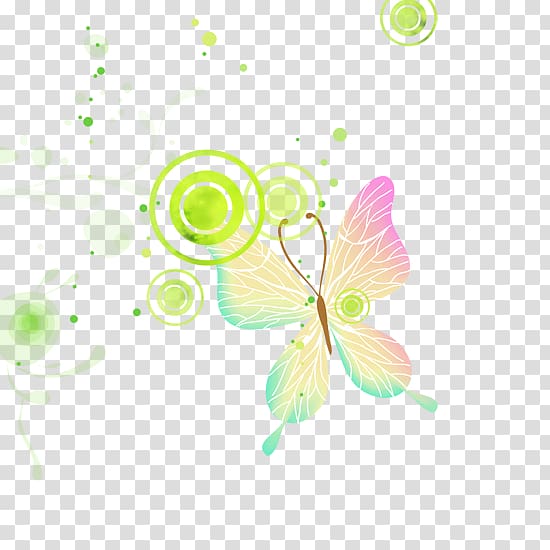 Graphic design Text Petal Illustration, butterfly transparent background PNG clipart