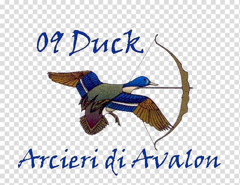 Federazione Italiana Arcieri Tiro di Campagna Duck ASD Arcieri di Avalon Beak Goose, duck transparent background PNG clipart