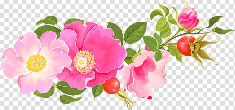 Garden roses Centifolia roses Floral design Floribunda, Pink floral design transparent background PNG clipart