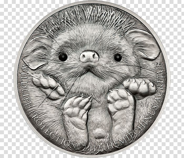 Mongolian tögrög Long-eared hedgehog Silver coin, silver transparent background PNG clipart