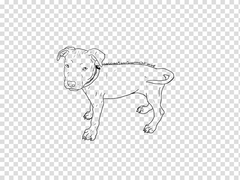 American Pit Bull Terrier American Staffordshire Terrier Bulldog Staffordshire Bull Terrier, pitbull transparent background PNG clipart