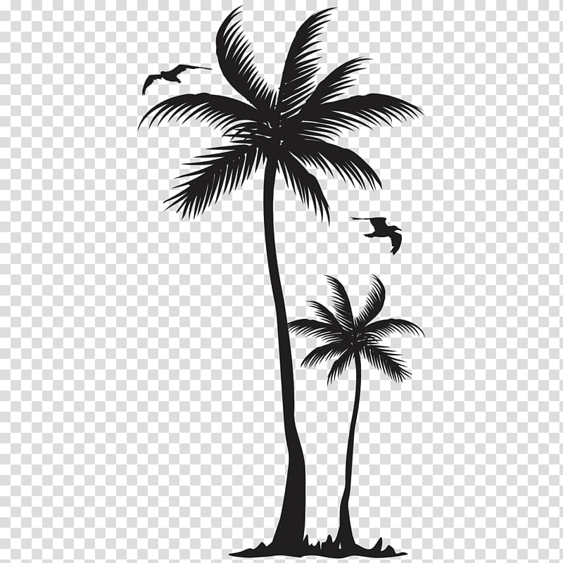 coconut tree , Web feed Grecotel Olympia Oasis & Aqua Park Instagram Facebook , coconut tree transparent background PNG clipart