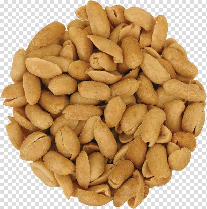 Peanut transparent background PNG clipart