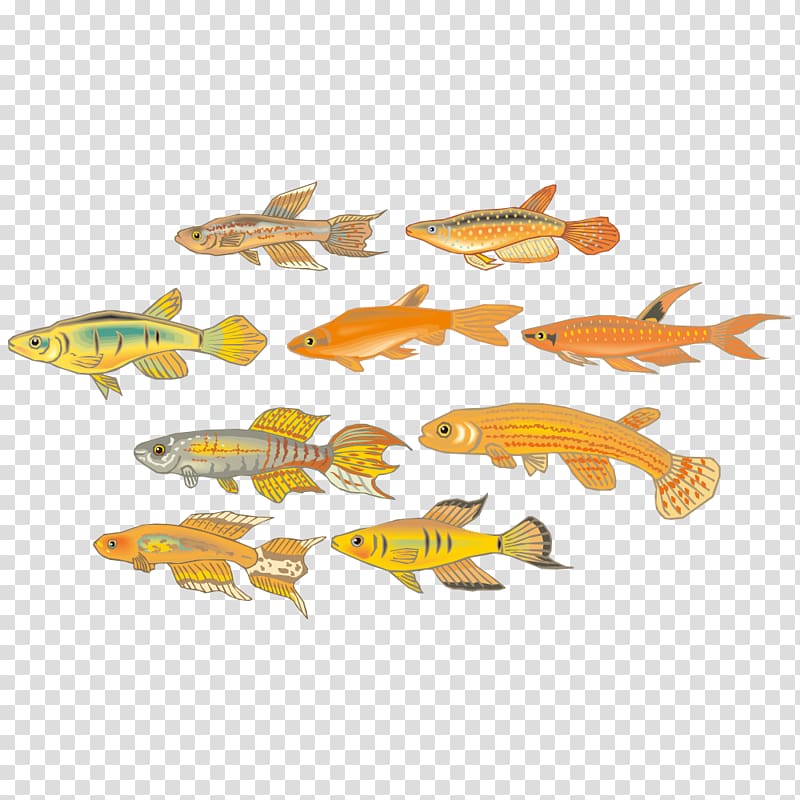 Fish Cartoon Pattern, Cartoon fish transparent background PNG clipart