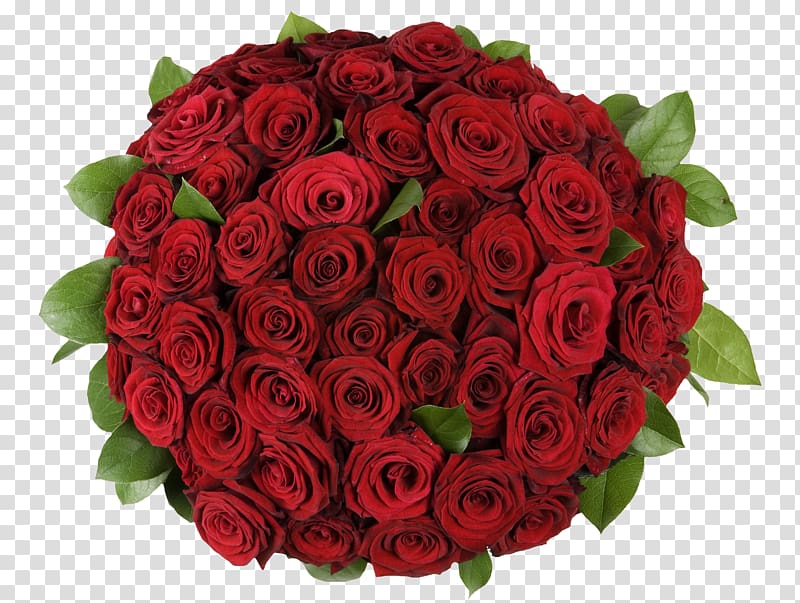red roses bouquet, Garden roses Flower bouquet Petal, A bouquet of roses transparent background PNG clipart